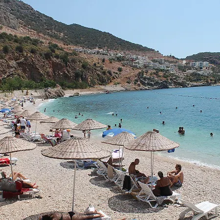 Lizo 3* Kalkan