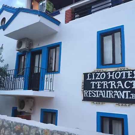 Гостевой дом Lizo