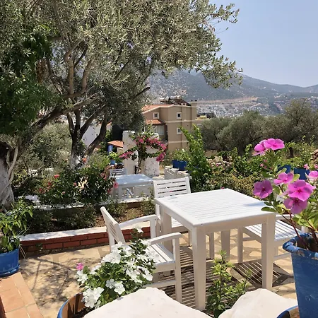 Lizo Гостевой дом 3*