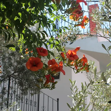 Lizo 3* Калкан