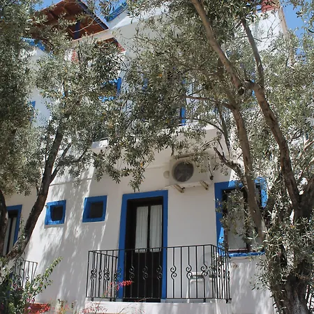 Lizo Гостевой дом 3*