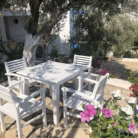 Lizo Гостевой дом