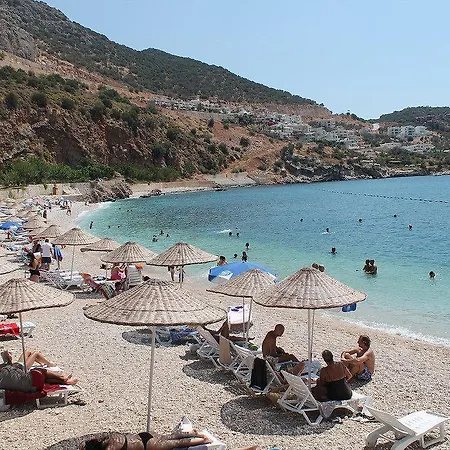 Lizo 3* Kalkan