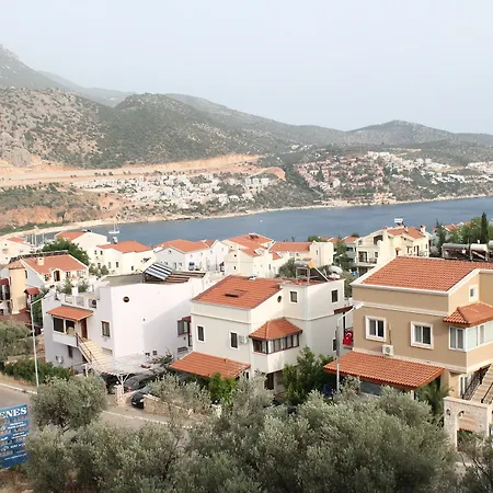 Lizo Kalkan