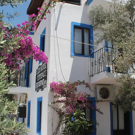 Lizo Kalkan